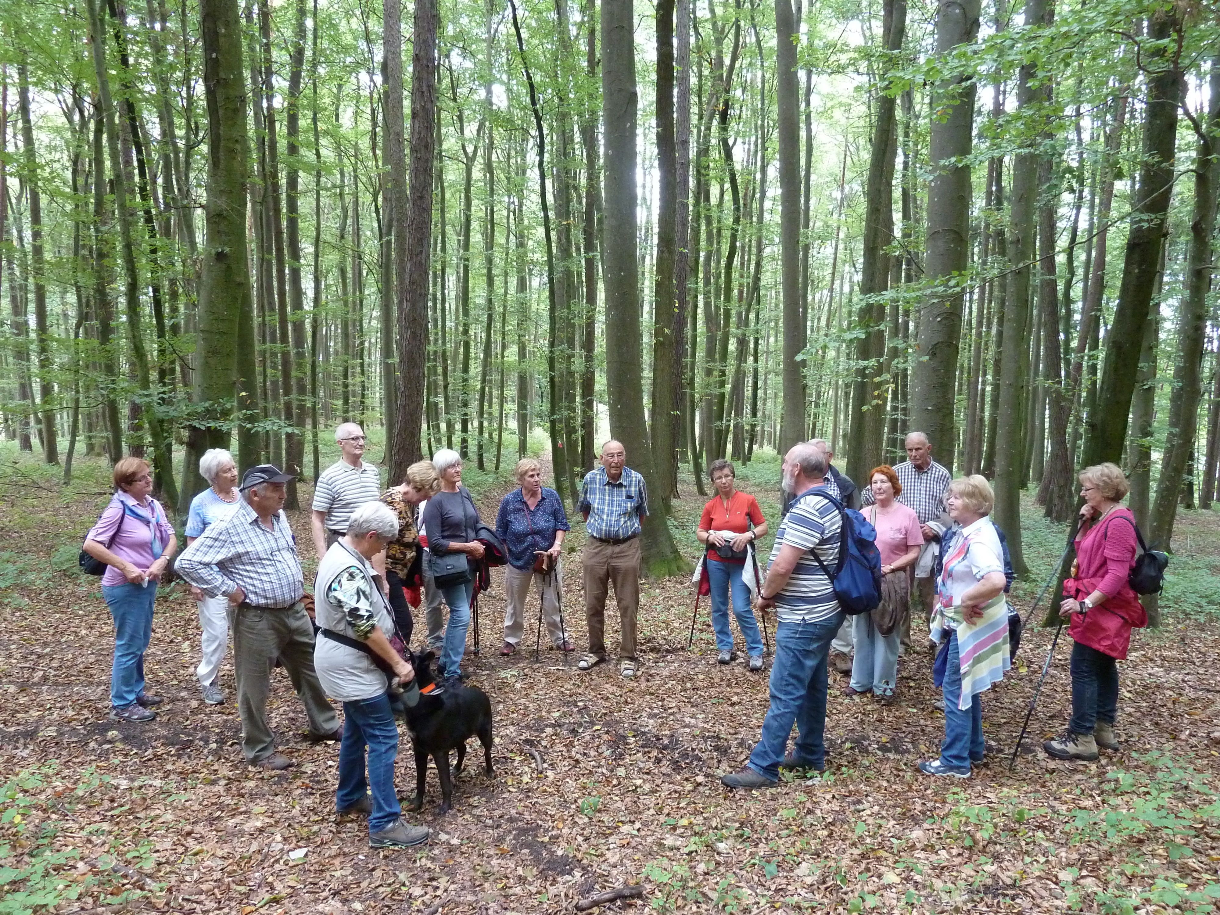 Senioren "Interessiert" im Wald, Foto Eifler