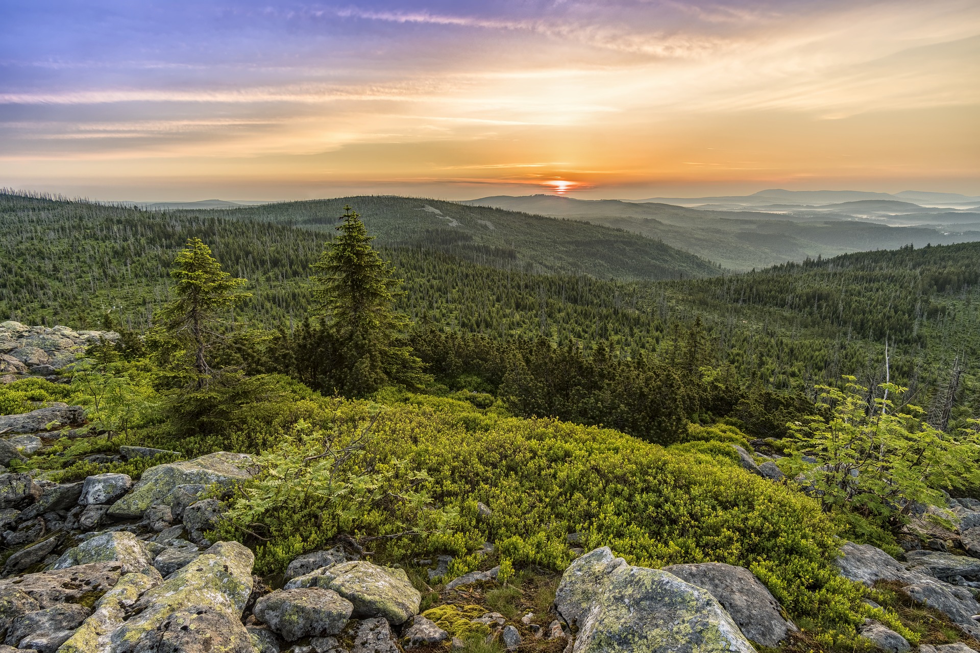 Lusen im Bayerischen Wald; Foto: pixabay
