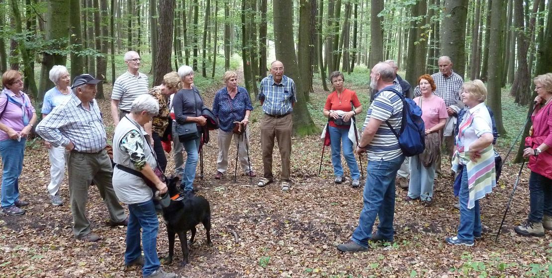 Senioren "Interessiert" im Wald, Foto Eifler