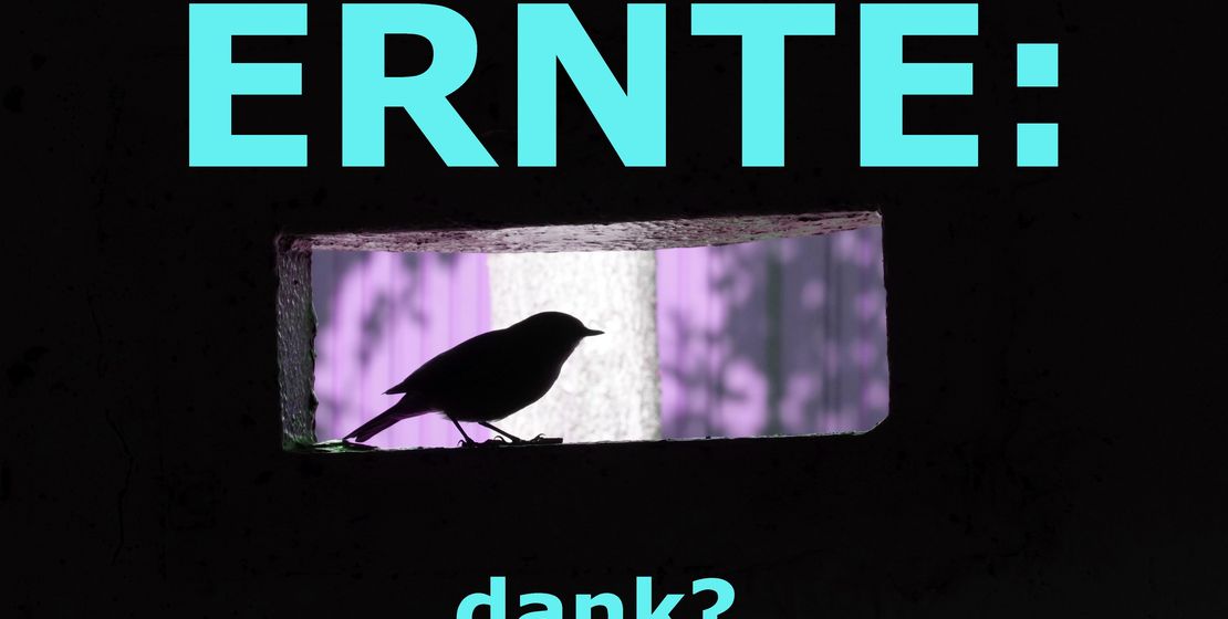 Titelbild "ERNTE: DANK?" zum Gemeindebrief 10/2019, Eifler