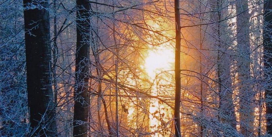 Winterwald mit Sonne, Foto: K. Eifler